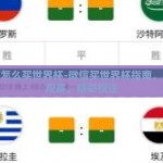 微信怎么买世界杯-微信买世界杯指南，轻松观赛，精彩投注