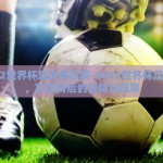 2022世界杯足球赛彩票-2022世界杯足球赛，彩票背后的激情与概率