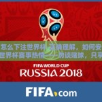 微信怎么下注世界杯-正确理解，如何安全地跟随世界杯赛事热情——勿谈赌球，只享赛程