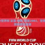 2002世界杯 彩票 说明-回望2002，世界杯彩票的疯狂盛宴