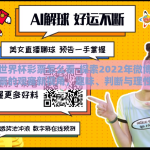 微博世界杯彩票怎么看-探索2022年微博世界杯彩票的观赛新视角，趣味、判断与理性的平衡