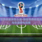 微信世界杯买球怎么买-微信世界杯足球竞猜与合理参与指南