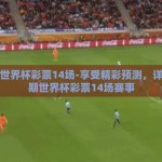 下期世界杯彩票14场-享受精彩预测，详解下期世界杯彩票14场赛事