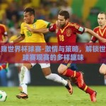 怎么赌世界杯球赛-激情与策略，解锁世界杯球赛观赛的多样趣味