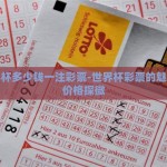 世界杯多少钱一注彩票-世界杯彩票的魅力与价格探微