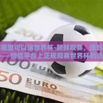 微信哪里可以赌世界杯-新鲜观赛，理智享受 —— 微信平台上正规观赛世界杯的途径