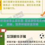 世界杯赌球怎么买彩票-足球激情背后的彩票奥秘，世界杯赌球全攻略