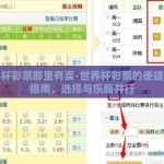 世界杯彩票那里有卖-世界杯彩票的便捷购买指南，选择与乐趣并行