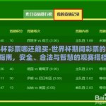 世界杯彩票哪还能买-世界杯期间彩票的购买指南，安全、合法与智慧的观赛搭档