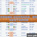 下注世界杯网站-阅读世界杯热潮，理性选择与安全下注的指南