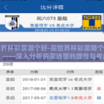 买世界杯彩票哪个好-买世界杯彩票哪个更好？——深入分析购买选面的理性与考虑