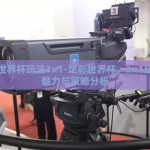足彩世界杯玩法3x1-足彩世界杯，3x1玩法的魅力与策略分析