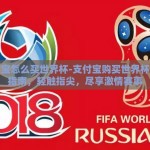 支付宝怎么买世界杯-支付宝购买世界杯投注指南，轻触指尖，尽享激情赛事