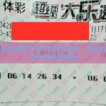 世界杯彩票多少倍-世界杯彩票，追求刺激与运气的双重挑战
