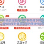 世界杯彩票微信能买-世界杯热潮下的新趋势，微信购买世界杯彩票的便捷性探索