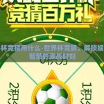 世界杯竞猜用什么-世界杯竞猜，解锁娱乐与智慧的激战时刻