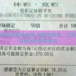 世界杯彩票奖金包括-世界杯彩票，汇聚激情与幸运的梦想舞台