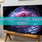 在哪赌世界杯-2022年世界杯，安全合法的观赛体娱