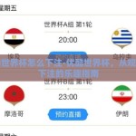 优酷世界杯怎么下注-优酷世界杯，从观赛到下注的乐趣指南