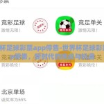 世界杯足球彩票app停售-世界杯足球彩票App停售，新时代的挑战与机遇