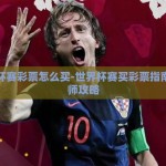 世界杯赛彩票怎么买-世界杯赛买彩票指南，大师攻略