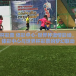 世界杯彩票 体彩中心-世界杯激情彩绘，探索体彩中心与世界杯彩票的梦幻联动