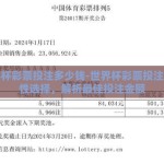 世界杯彩票投注多少钱-世界杯彩票投注的理性选择，解析最佳投注金额
