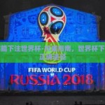 在哪能下注世界杯-权威指南，世界杯下注的正确途径