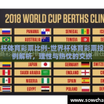 世界杯体育彩票比例-世界杯体育彩票投注比例解析，理性与热忱的交织