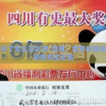 世界杯了怎么买彩票-指南，世界杯期间如何明智购买彩票