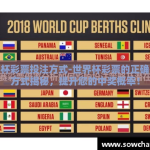 世界杯彩票投注方式-世界杯彩票的正确投保方式揭秘，提升您的中奖概率！