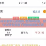 世界杯彩票怎么买赚钱-世界杯彩票，智慧投注与财务管理下的稳健赚钱之道