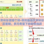 买世界杯彩票哪个好-寻找最佳世界杯彩票购买策略，多元考量下的明智选择