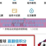 支付宝在哪里买世界杯-支付宝购买世界杯观赛指南，便捷、安全与全面服务