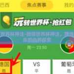 微信世界杯押注-微信世界杯押注，理性与娱乐的边界探索