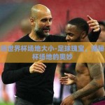 足球场世界杯场地大小-足球瑰宝，揭秘世界杯场地的奥妙