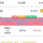 世界杯彩票投注关闭-世界杯之日，彩票投注站的静默