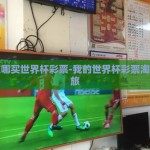 我在哪买世界杯彩票-我的世界杯彩票淘宝之旅