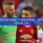 世界杯竞猜彩票丢了-遗失的希望，世界杯竞猜彩票之旅