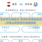 支付宝世界杯哪里买-世界杯激情新选择，支付宝上的购票与观赛体验