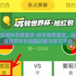 微信世界杯在哪里买-畅享体育盛宴，揭秘微信世界杯的购票攻略与官方平台