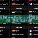 足球世界杯2026怎么赌-2026年足球世界杯探索，策略、机遇与挑战