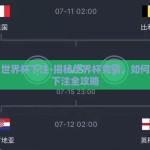 怎么世界杯下注-揭秘世界杯竞猜，如何智慧下注全攻略