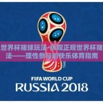 正规世界杯赌球玩法-纵观正规世界杯赌球玩法——理性参与的快乐体育指南