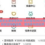 支付宝怎么赌球世界杯-支付宝与2022世界杯的智慧观赛指南，理性参与的边界