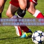 怎么赌世界杯的球-掌握正确心态，理性参与，世界杯足球赛事的乐趣与投注指南