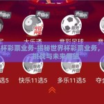 世界杯彩票业务-揭秘世界杯彩票业务，机遇、挑战与未来展望