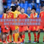 支付宝世界杯彩票-支付宝世界杯彩票，数字时代下的新型娱乐与竞技体验