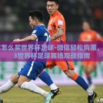 微信怎么买世界杯足球-微信轻松购票，2023世界杯足球赛场观战指南