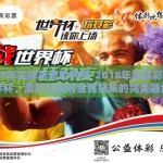 2018年足球彩票世界杯-2018年足球彩票世界杯，激烈比拼与全民狂欢的完美融合